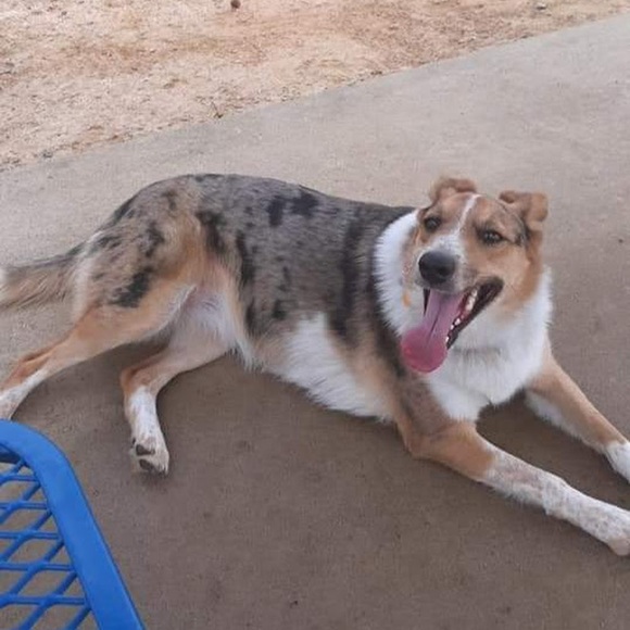 Meet your Posher, Jessica - Picture 1 of 1